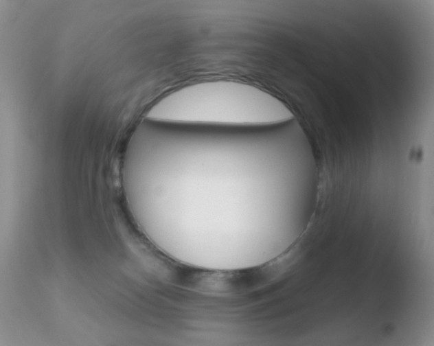 X0000110730182200906121319