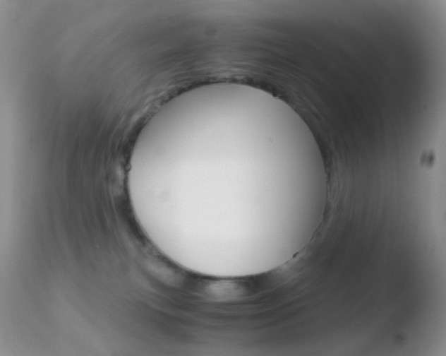 X0000110730183200906121319