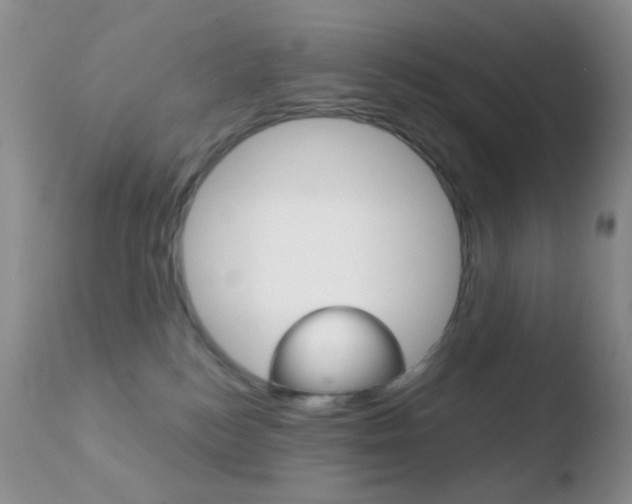 X0000110730184200906121319