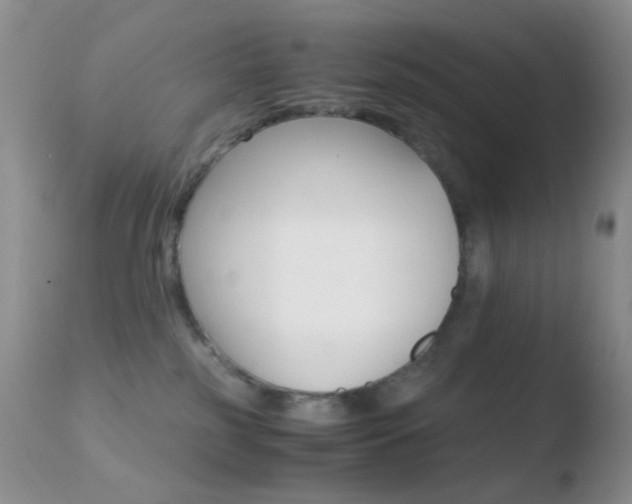 X0000110730185200906121319
