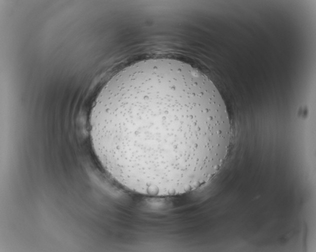 X0000110730187200906121319