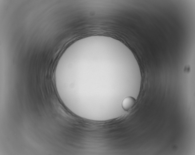 X0000110730188200906121319