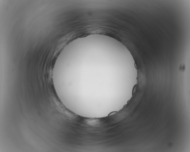 X0000110730189200906121319