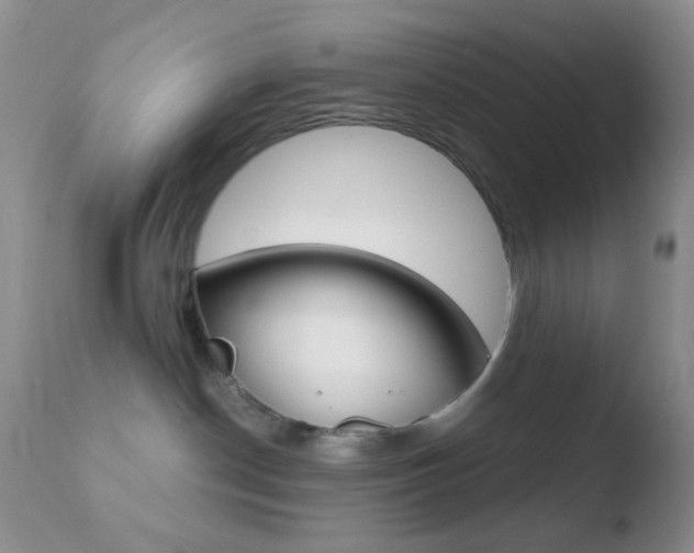 X0000110730190200906121319