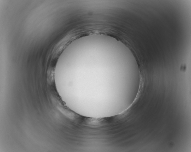 X0000110730191200906121319