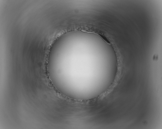 X0000110730192200906121319