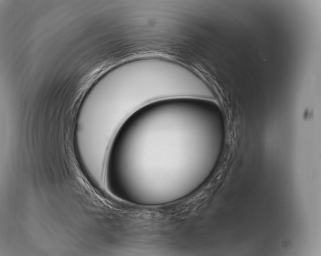 X0000110730193200906121318