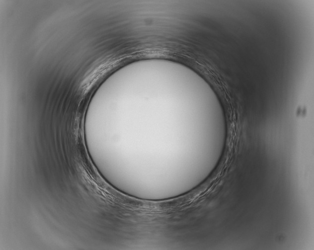X0000110730194200906121318