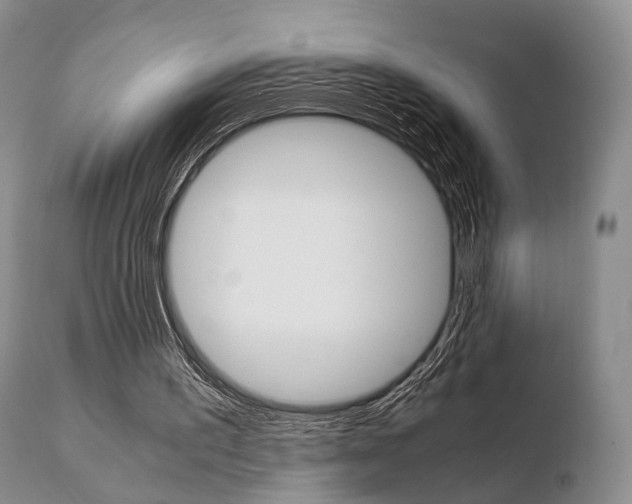 X0000110730195200906121318
