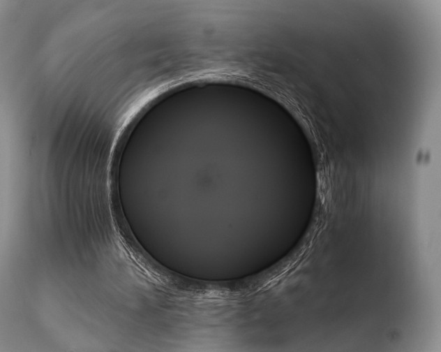 X0000110730196200906121318