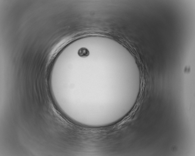 X0000110730197200906121318