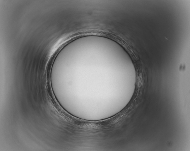 X0000110730198200906121318