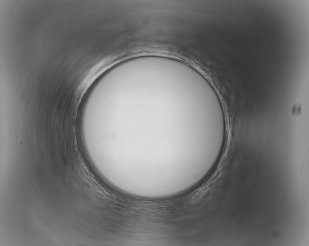 X0000110730199200906121318
