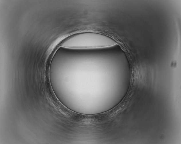 X0000110730200200906121318