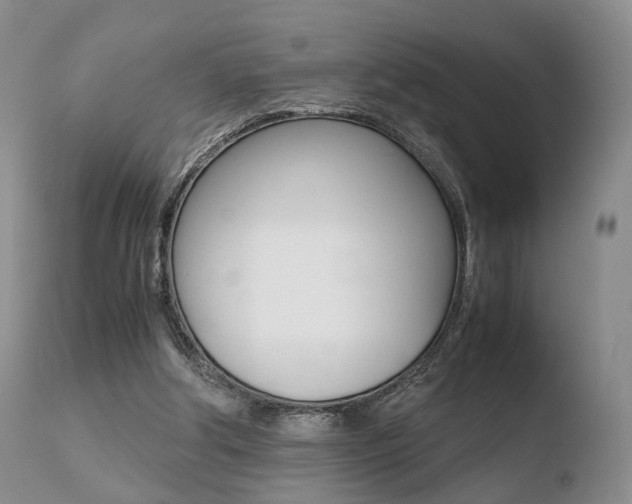 X0000110730202200906121318