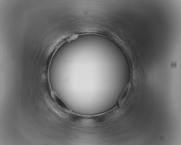 X0000110730203200906121318