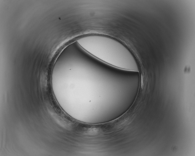X0000110730204200906121318