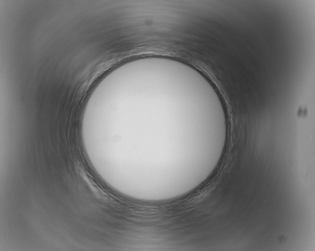 X0000110730205200906121318