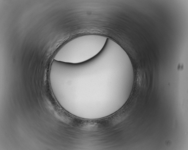 X0000110730206200906121318