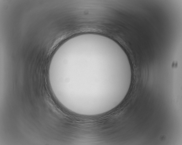 X0000110730207200906121318