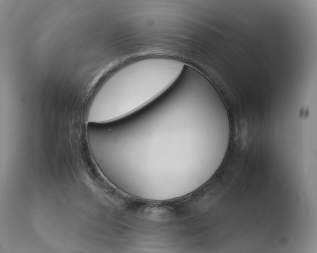 X0000110730208200906121318