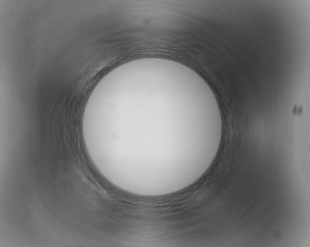 X0000110730211200906121318