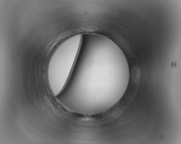 X0000110730212200906121318