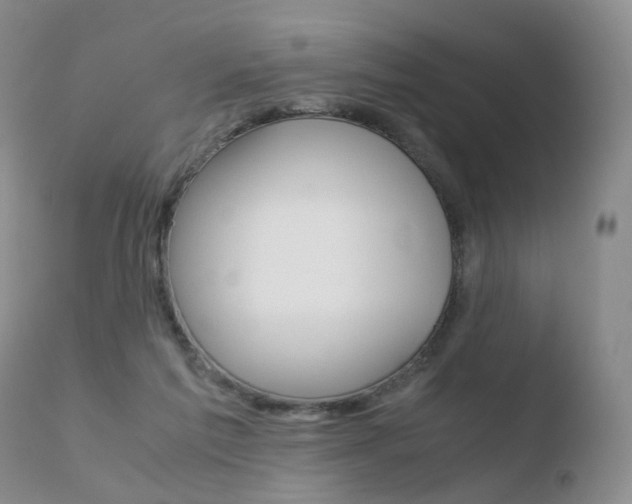 X0000110730213200906121318
