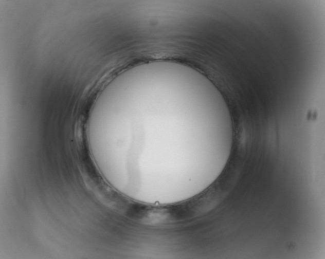 X0000110730214200906121318