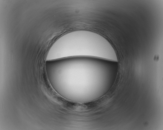 X0000110730215200906121318