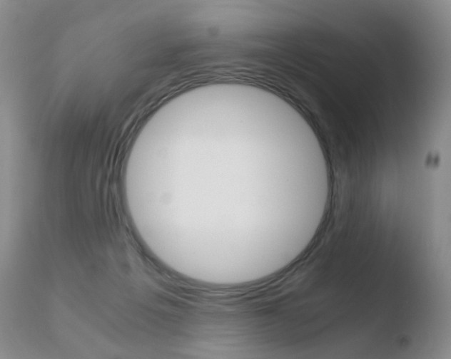 X0000110730217200906121318