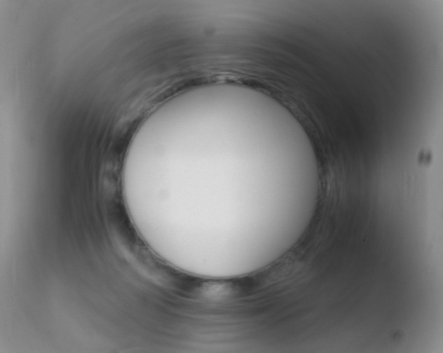 X0000110730218200906121318