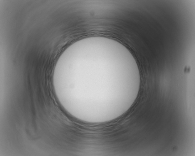 X0000110730219200906121318