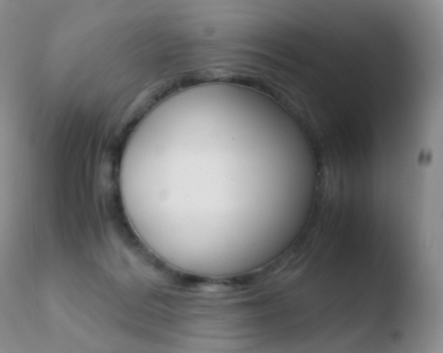 X0000110730220200906121318