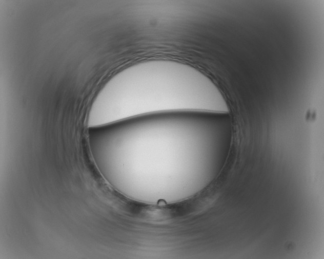 X0000110730221200906121318