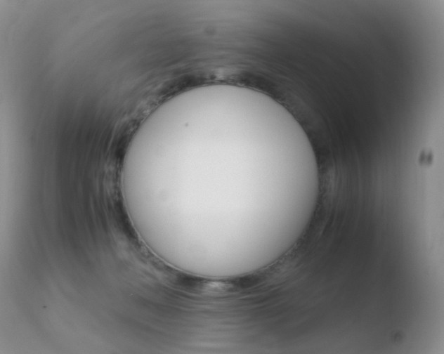 X0000110730222200906121318