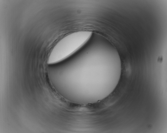 X0000110730224200906121318