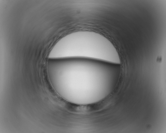 X0000110730225200906121318
