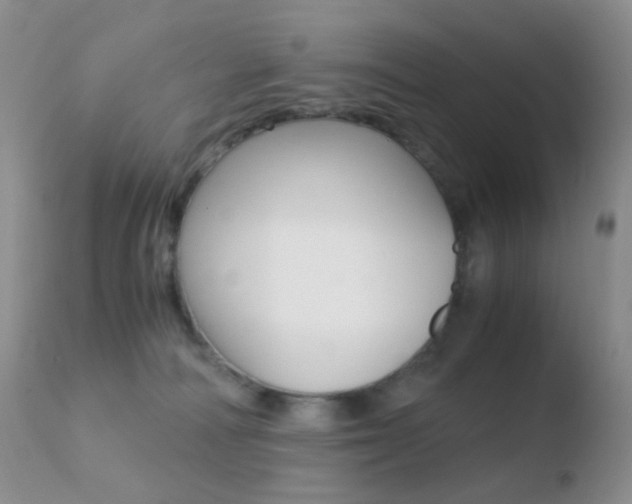 X0000110730226200906121318