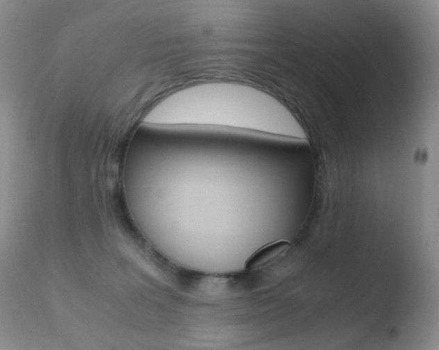 X0000110730227200906121318
