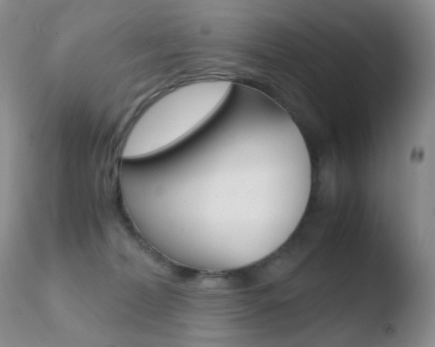 X0000110730228200906121318