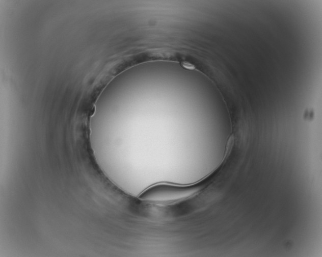X0000110730229200906121318