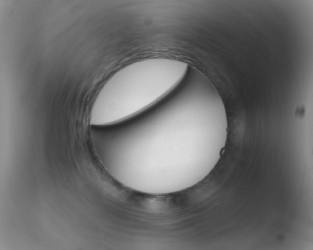 X0000110730232200906121318