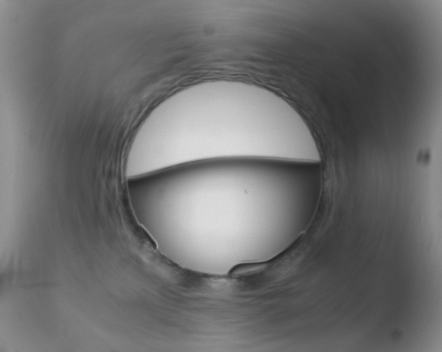 X0000110730233200906121318