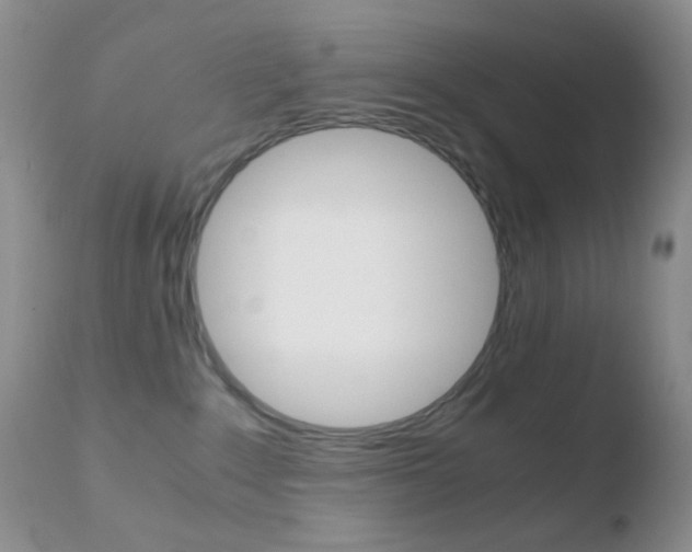 X0000110730235200906121318