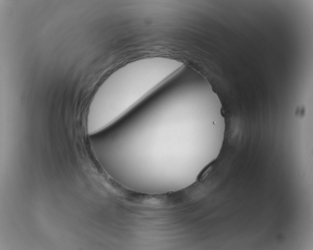 X0000110730236200906121318