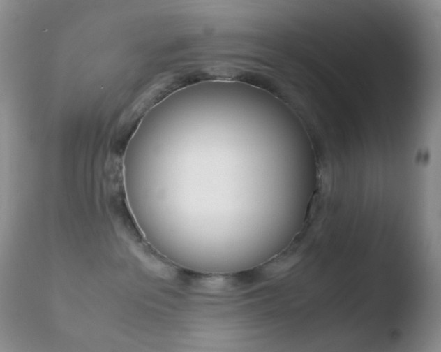 X0000110730237200906121318