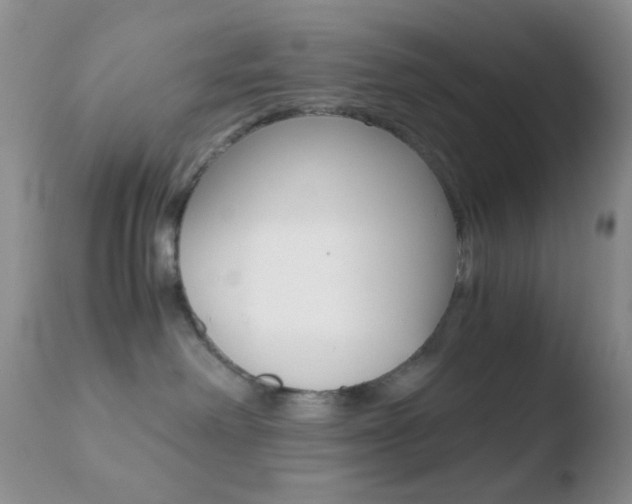 X0000110730238200906121318