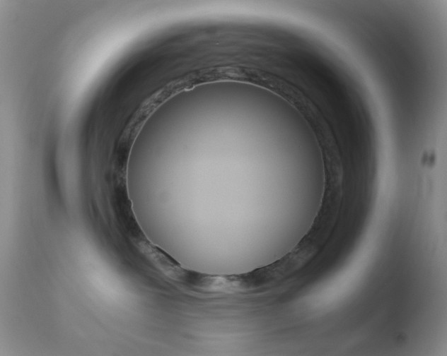 X0000110730239200906121318