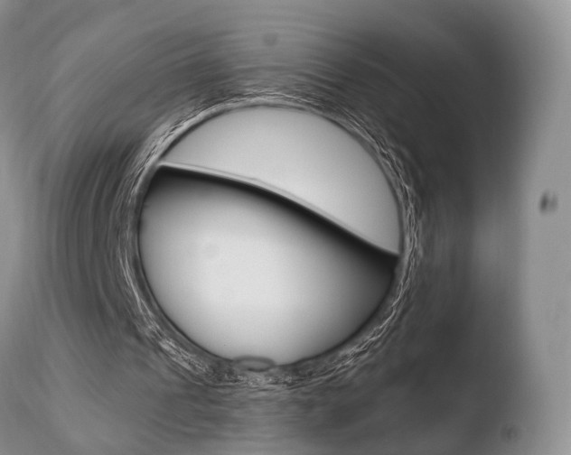 X0000110730241200906121317